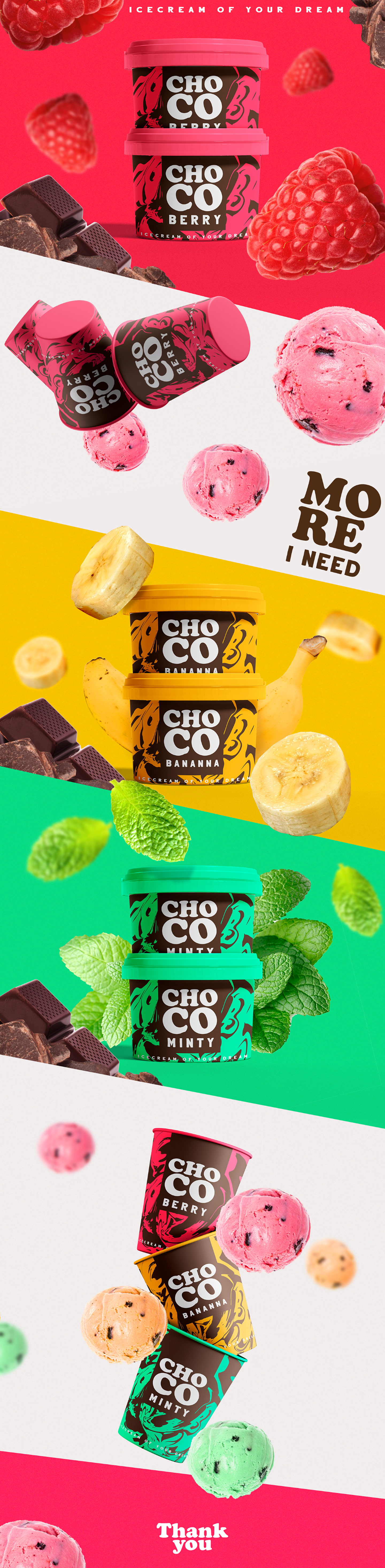 ChoCo Ice Cream Packaging